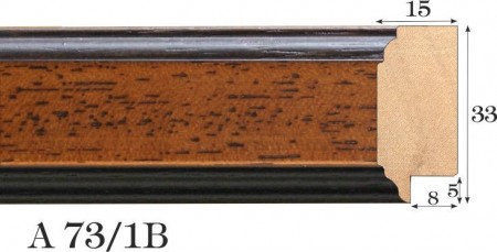 A73_1B
